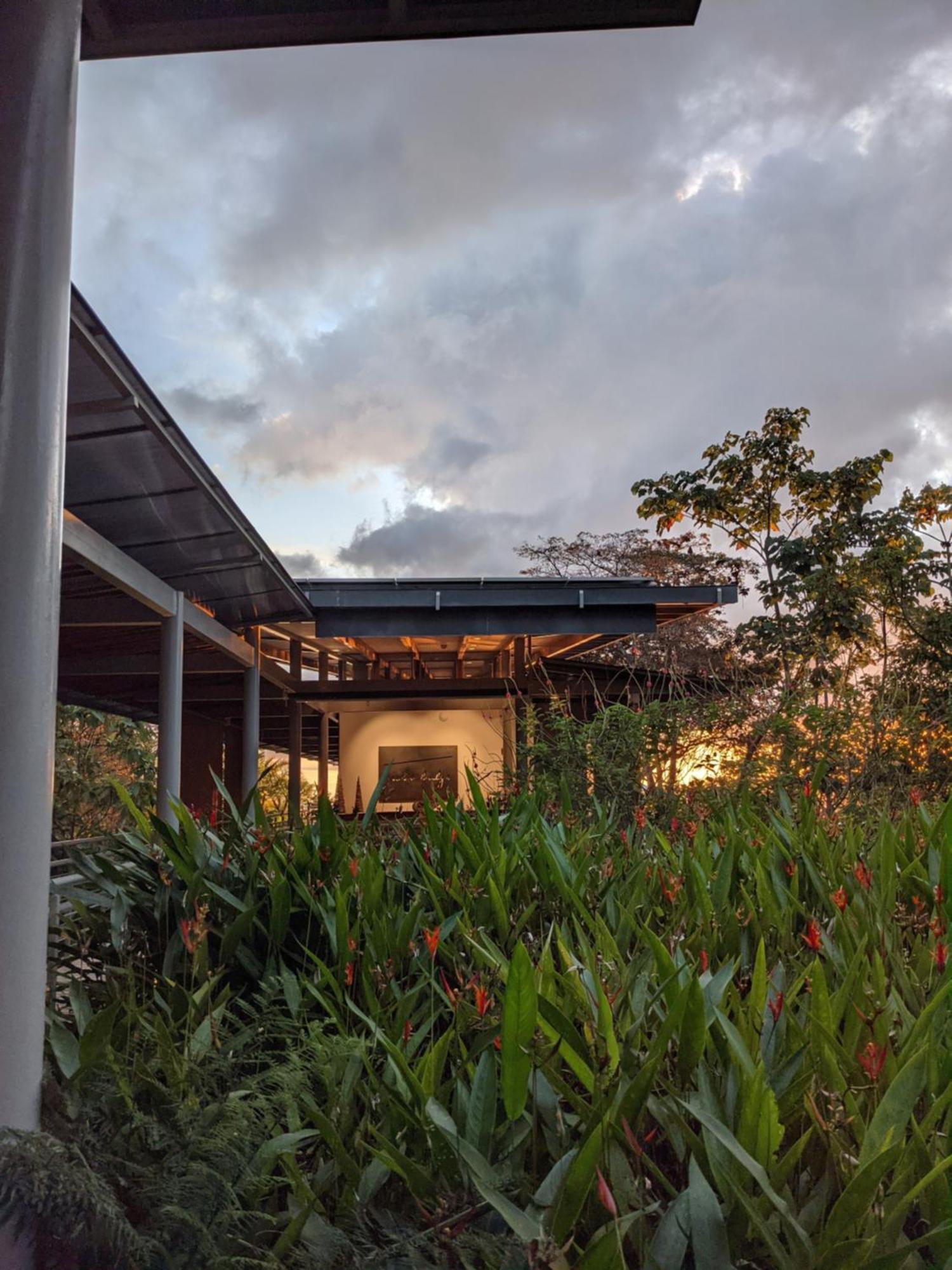 Cielo Lodge Golfito Buitenkant foto